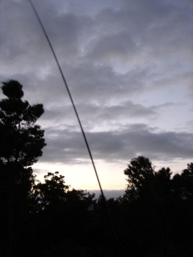 antennas,Waiheke island